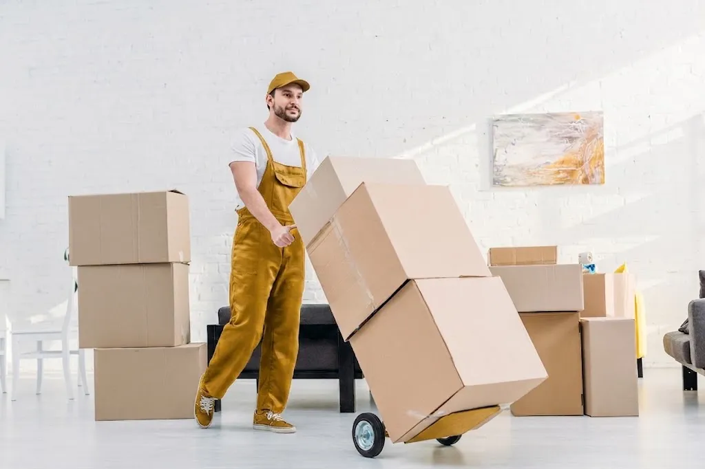 Professional Movers